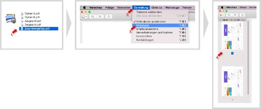 Anleitung Bewerbung als PDF zusammenfügen mit Vorschau auf macOS